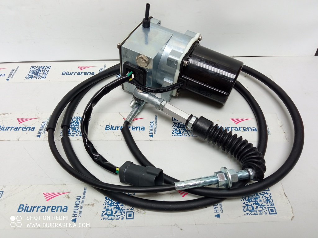 ACTUATOR ASSY-ACCEL